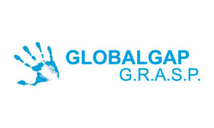 Global GRASP